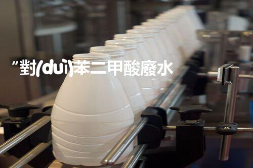 “對(duì)苯二甲酸廢水處理，綠色創(chuàng)新引領(lǐng)環(huán)保新篇章”